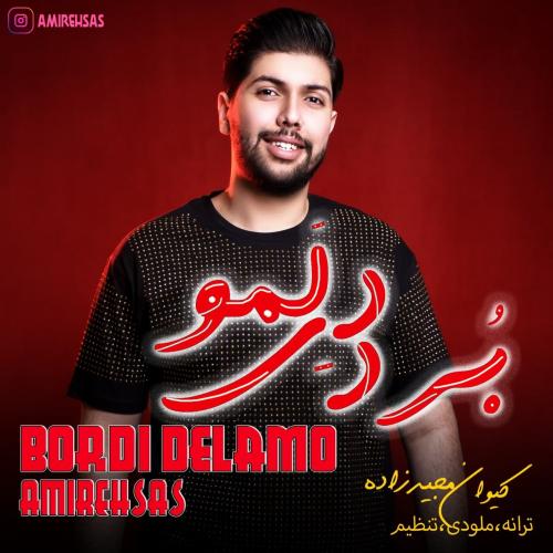 دانلود آهنگ بردی دلمو امیر احساس